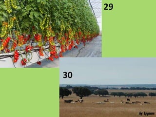 29
30
 