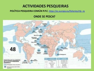 ACTIVIDADES PESQUEIRAS
ONDE SE PESCA?
POLÍTICA PESQUEIRA COMÚN P.P.C. https://ec.europa.eu/fisheries/cfp_es
48
 