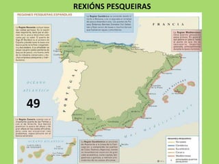 REXIÓNS PESQUEIRAS
49
 