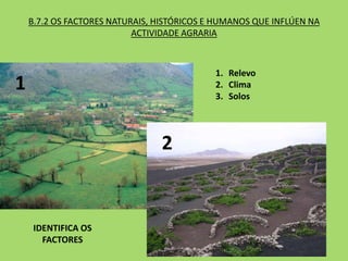 B.7.2 OS FACTORES NATURAIS, HISTÓRICOS E HUMANOS QUE INFLÚEN NA
ACTIVIDADE AGRARIA
1. Relevo
2. Clima
3. Solos
IDENTIFICA OS
FACTORES
1
2
 