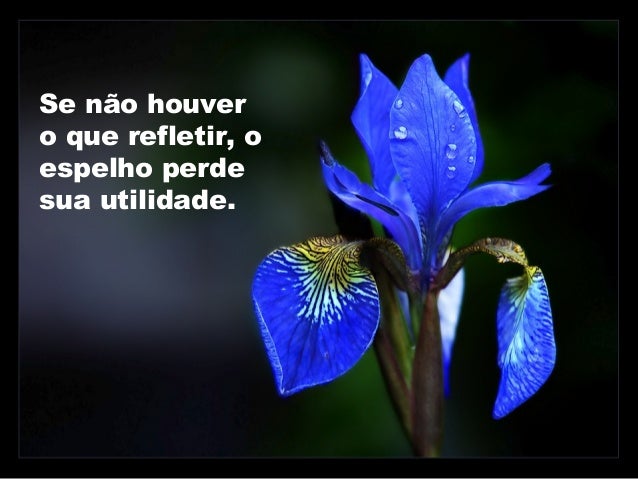 Resultado de imagem para espelho da vida