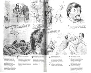 O espetáculo das raças 