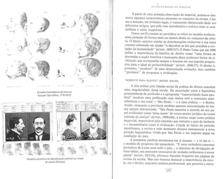 O espetáculo das raças 