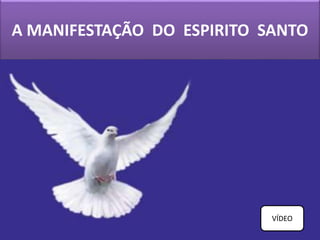 A MANIFESTAÇÃO DO ESPIRITO SANTO
VÍDEO
 