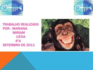 TRABALHO REALIZADO POR : MARIANA   MIRIAM    CÁTIA    4ºA SETEMBRO DE 2011  