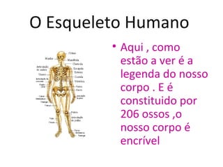 O Esqueleto Humano
         • Aqui , como
           estão a ver é a
           legenda do nosso
           corpo . E é
           constituido por
           206 ossos ,o
           nosso corpo é
           encrível
 