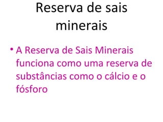 Reserva de sais
        minerais
• A Reserva de Sais Minerais
  funciona como uma reserva de
  substâncias como o cálcio e o
  fósforo
 