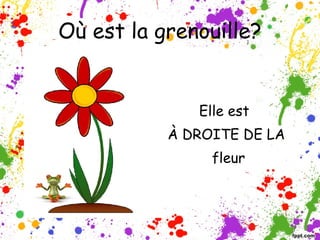 Où est la grenouille?


              Elle est
           À DROITE DE LA
                fleur
 