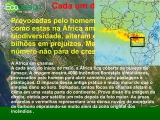Cada um destes incêndios tem 15 km²   Provocadas pelo homem, queimadas como estas na África ameaçam a biodiversidade, alteram o clima e geram bilhões em prejuízos. Mesmo assim, seu número não pára de crescer ! A África em chamas A cada ano, no início de maio, a África fica coberta de nuvens de fumaça. A imagem mostra 4000 incêndios florestais simultâneos, provocados pelo homem para abrir caminho para pastagens e plantações. O impacto dessa antiga prática é muito maior do que o simples dano ao solo. Somados, tantos focos de chamas afetam o clima em uma vasta parte do continente. Prova disso é a imagem da direita, obtida por satélite um mês depois da foto maior. As áreas amarelas e vermelhas representam uma densa nuvem de monóxido de carbono espraiando-se muito além da zona original dos incêndios .  