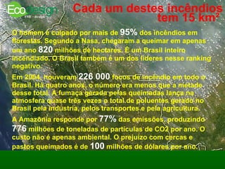 Cada um destes incêndios tem 15 km²   O homem é culpado por mais de  95%  dos incêndios em florestas. Segundo a Nasa, chegaram a queimar em apenas um ano  820  milhões de hectares. É um Brasil inteiro incendiado. O Brasil também é um dos líderes nesse ranking negativo.  Em 2004, houveram  226 000  focos de incêndio em todo o Brasil. Há quatro anos, o número era menos que a metade desse total. A fumaça gerada pelas queimadas lança na atmosfera quase três vezes o total de poluentes gerado no Brasil pela indústria, pelos transportes e pela agricultura.  A Amazônia responde por  77%  das emissões, produzindo   776  milhões de toneladas de partículas de CO2 por ano. O custo não é apenas ambiental. O prejuízo com cercas e pastos queimados é de  100  milhões de dólares por ano.   