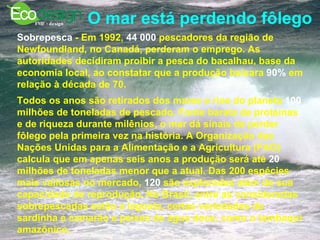 O mar está perdendo fôlego   Sobrepesca  - Em 1992,  44 000  pescadores da região de Newfoundland, no Canadá, perderam o emprego. As autoridades decidiram proibir a pesca do bacalhau, base da economia local, ao constatar que a produção baixara  90%  em relação à década de 70.   Todos os anos são retirados dos mares e rios do planeta  100  milhões de toneladas de pescado. Fonte barata de proteínas e de riqueza durante milênios, o mar dá sinais de perder fôlego pela primeira vez na história. A Organização das Nações Unidas para a Alimentação e a Agricultura (FAO) calcula que em apenas seis anos a produção será até  20  milhões de toneladas menor que a atual. Das 200 espécies mais valiosas no mercado,  120  são exploradas além de sua capacidade de reprodução. No Brasil, entre as consideradas sobrepescadas estão a lagosta, certas variedades de sardinha e camarão e peixes de água doce, como o tambaqui amazônico.  
