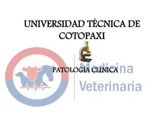 UNIVERSIDAD TÉCNICA DE
COTOPAXI
PATOLOGÍA CLINICA
 