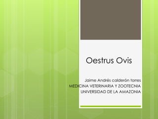 Oestrus Ovis
Jaime Andrés calderón torres
MEDICINA VETERINARIA Y ZOOTECNIA
UNIVERSIDAD DE LA AMAZONIA
 