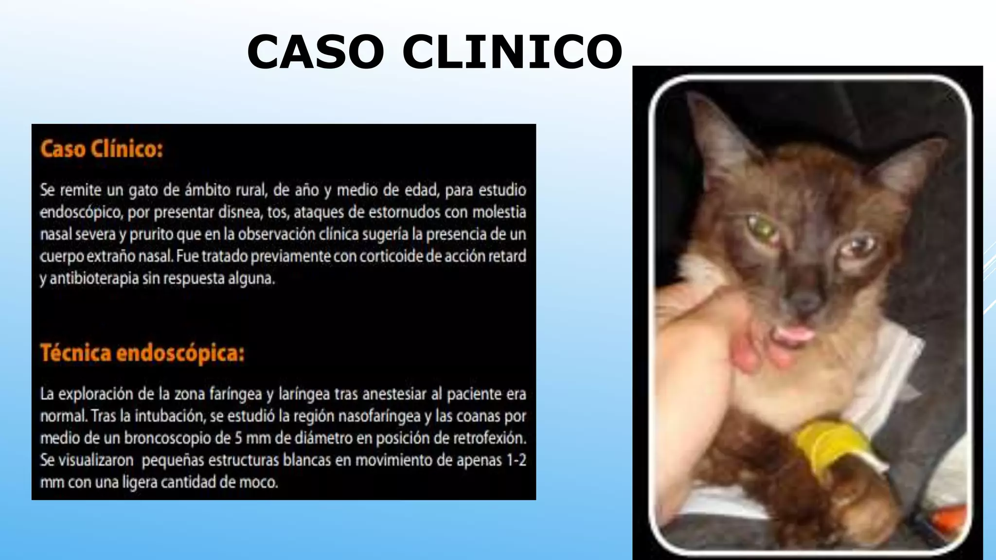 CASO CLINICO
 