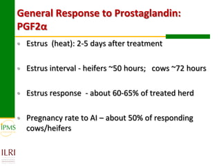 Technological options and approaches to improve supply of desirable animal genetic material for dairy and beef development: IPMS Experience
