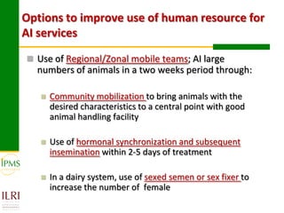 Technological options and approaches to improve supply of desirable animal genetic material for dairy and beef development: IPMS Experience