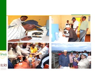 Technological options and approaches to improve supply of desirable animal genetic material for dairy and beef development: IPMS Experience