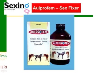 Technological options and approaches to improve supply of desirable animal genetic material for dairy and beef development: IPMS Experience