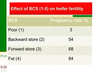 Technological options and approaches to improve supply of desirable animal genetic material for dairy and beef development: IPMS Experience