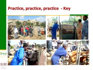 Technological options and approaches to improve supply of desirable animal genetic material for dairy and beef development: IPMS Experience