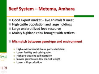 Technological options and approaches to improve supply of desirable animal genetic material for dairy and beef development: IPMS Experience