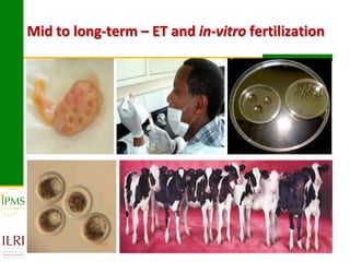 Technological options and approaches to improve supply of desirable animal genetic material for dairy and beef development: IPMS Experience