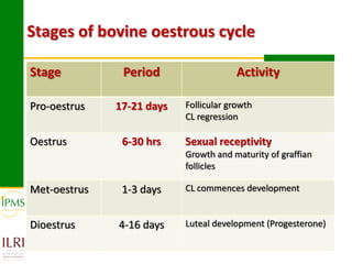 Technological options and approaches to improve supply of desirable animal genetic material for dairy and beef development: IPMS Experience