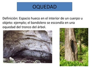 OQUEDAD
Definición: Espacio hueco en el interior de un cuerpo u
objeto: ejemplo; el bandolero se escondía en una
oquedad del tronco del árbol.
 