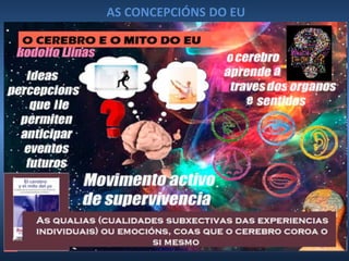 AS CONCEPCIÓNS DO EU
 