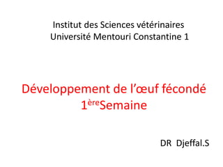 Développement de l’œuf fécondé
1èreSemaine
DR Djeffal.S
Institut des Sciences vétérinaires
Université Mentouri Constantine 1
 