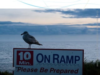 CC-BY: http://www.flickr.com/photos/orinrobertjohn/6173573359/
                                                                 23
 