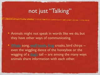 Animal Communication | PPT
