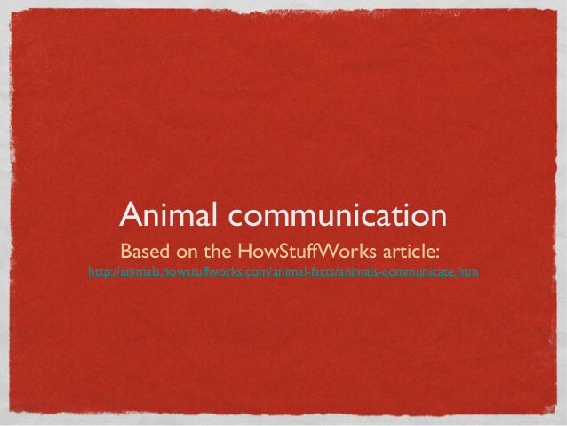 Animal Communication