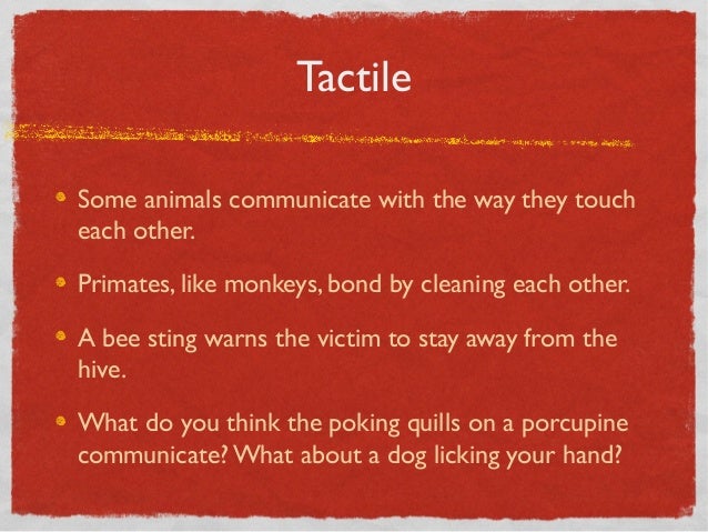 Animal Communication