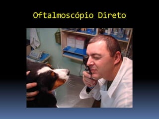 Oftalmoscópio Direto
 