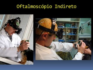 Oftalmoscópio Indireto
 