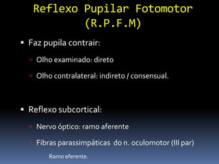 Reflexo Pupilar Fotomotor
           (R.P.F.M)
 Faz pupila contrair:
   Olho examinado: direto

   Olho contralateral: indireto / consensual.



 Reflexo subcortical:
   Nervo óptico: ramo aferente

   Fibras parassimpáticas do n. oculomotor (III par)
        Ramo eferente.
 