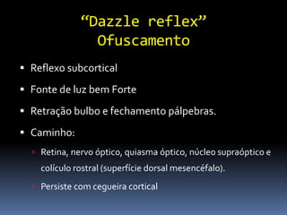 “Dazzle reflex”
                Ofuscamento
 Reflexo subcortical

 Fonte de luz bem Forte

 Retração bulbo e fechamento pálpebras.

 Caminho:
   Retina, nervo óptico, quiasma óptico, núcleo supraóptico e
    colículo rostral (superfície dorsal mesencéfalo).
   Persiste com cegueira cortical
 