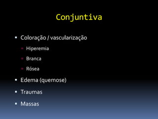 Conjuntiva

 Coloração / vascularização
   Hiperemia

   Branca

   Rósea

 Edema (quemose)

 Traumas

 Massas
 