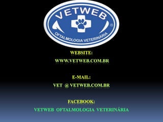 O exame oftalmológico completo