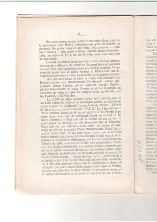 Din acele creste ne-am scoborit mai mult tdrdS' cam pe
f" :ril'ii"t.* "a.i
Muerii, infricosetoare urin !11t-1carlt1,19
prezint:i. De acolo. dupe ce am vizitat mica pegtera
-
rara
i;;;;'l;.;.; - oin
'oitut
ei drept,
'utmitb'
Gaura Brusture'
irrllui,lu* ajuns la t h p. m. jos in vale' unde cum am spus
deiunaserim.--'-
a;;t;; am luat-o iara5i pe vale in sus'.care se large$tt
din nou pe o distanle de l'000 m' ln acest lnlerval malurrrc
;i';;;;i i";t, sunt aioperite pani jos cu fagi secrlari' Totu5i
oeretele mon,.rruo: 9i adinc ravinat al Pietrict;htt mrrgi-
[.ii.lrt^ i.i*trp.r. uut.u pe dreapta' pe la spat.ele pi9"::i
lata din acel punct 5i pdna la i:vor' to{i alluenll,l vacl
Dambovjcioarei sau Brustuietului' Pe dreapte: pitar;J GAL
inlinto* paritttl IJ ltului; pi,ra:al RAgozul,' pdrAll Rd'pilor;
"Ja'riii 'ciirtirrlui .u uri.u cnvcin si pdraul cnpilu.lui cu
;il;;;;il iui t'alca cu Apd. Pe stAnga: valea cu Pietrile; va-
lea t'odurilc ai PA16ul ,4rs.' - fu Z'SOO'm. dela pegterl, valea intrd intr'un- rou 5l
oAorutrit cafron in miilocul 9i dealungul 'ciruia' -se^af
ld
-renu-
,niieL isujo".. ]a,,Gilgoaie" cu un debit de 20'000-25'000
i'' oe
"i
si cu o tempeiaturf, de *60.8 Cn. La 3 km intrarn rn
Cni,ia Stiimta,lunga de 80 m. 9i largi de 2 m' Peretrii ei pe
un.L to.u.i sunt isz de apropiali, incdt au trebuit.sii fie
sparti. pentru a o l[rgi atdt cAt sh incaph un car cu, bor' Iil
acesi punct pe dreapta se afld irumosul ptui al Vlaicului '
Pulin nai sui am intAlnit o noui chcie' tot foarte strimta'
il"ii J. ZOo m. si numiti Cheiu Brusturetulnl' ESind din a-
c.uita ,lti.h chee, in sus sprc istor, valer care a'uma are
iouii. prtina api. devine tof mai linigtitrr 5i mai tlcuti' incat
.altei;'iiri ..4;1ui ce stribaieam. eri tot mai impresionanti'
ii.pul J. altfel dcvenise 9i e1 din-nou ameninlator' Valea
aur*,'u ldrgit considerabil, are ambele maluri comptet aco-
;;;it. ., pi?uri seculare de fag cari se scoboari pAni linq:"
lpa.
--sia"iil.
gi defileurlle au disperut cu
-totul
si numai din
.5na in .ana creasta
-
destul de depirtata
-
a Pittrei-Crai
se aratA ochiului parci tot mai avjd de priveli5ti deosehite'
La 4 km dela peSteri aiunserdm la confluen{a a doui vii
.itl..ie, cea din dreapta (cum urcam) flind valea cu Pietrile '
pe care am coborit-o in doui rZinduri 5i pe care se.mergc pi
un sshiab de bu$teni; ea nu poate fi parcursh de cai' A doua'
16



t-
 