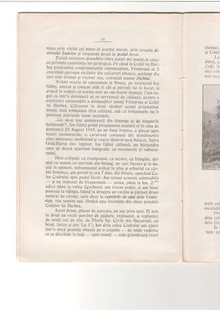 :8
lrece prin vdrfLrl cel mare al acestui munte, prin creasta pu_
ctorului Zadelor'9i rdspunde drept la podul isvor.
Existd oarecare deosebire intre aceqti doi munli,in ceea_
ce privegte constitutia lor geologici. pe cdnd in Cotlii'tui Bar-
beg predomini conglomeratele cenomaniene, Vdnturigui ar ii
constituit aproape exclusiv din calcaruri titonice, acelLaSi din
cari este format $i vecinul siu, colosalul munte Dichiul.
Avdnd ocazia si cunoagtem la Sinaia, pe {ocuitorul Ion
Cdlej, nlscut 9i crescut atdt el cdt 9i pnrinlii lui in Isvor,
"sravAnd in vedere ch acesta este un om fbarte destept. I'am ru_
gat ca intr'o duminecb si ne serveasca de calauzi, pentru o
€x.plorare aminun{itd a minunalilor munli Vdnturigu Si Coltrii
lui Barbeg. CiLcasern in doui rdnduri acegti prApastiogi
munti, ilsd totdeauna firrd, c"alduzd, aSA cd fortamenie n, te
puLusem pa tr unri e toate secretele.
, ,,Ca sd-9i mai aminteascd din tinereJe Ei de timpurile
haiduceEti", Ion GAtej primi propunerea noastrd 9i in ziua dr:
dumineci 23 August 1915, pe un timp frumos, a plecat spre
rocurt necuroscute, o caravani compusi din urmdtoarele
ctnci persoane: neobositul 5i vegnic tdnirul mo9 Ndlucd, Sprm
Cold-Haret elev inginer, Ion Gdtej cdlduzd, un biefandru
care ne duced aparatul fotografic cu necesarele gi subsem_
ratul.
Bine echipafi, cu crampoane, cu sscure, cu frAnghie, dar
mai cu seamd cu merinde din beJgug, pe cari fiecareli le du_
ceA in spinare, subsemnatul avAnd in plus si erbariul cu car-
lile botanice, am pornit'la ora 7 dim. din Sinaia. apucand Ca_
lea Codrului spre podul Isvor. Am urmat aceastd admirabili
- $i nu indestul de frequentatd
- $osea, pdnd la km.2.00,)
adici pdni la valea Zgarburei, am trecut podul, si am ldsai
$oseaua la stdnga, ludnd la dreapta un vechiu;i phrisit dmm
natural de cirute, care duce a captiirile de apd dela VAnfu.
nqu, rd.u numite agi, fiindci apa isvordgte din chiar peretele
Collilor lui Barbe5.
Acest drum, pldcut de parcurs, nu sue prea tare. El tare
in doud un vechi parchet de padure, exploitat, si reptantat
de multi ani de zile, de Eforia Sp. Civile din Bucuregti, cu
brad, Iarice 9i pin. La 1'/: km dela calea Codrului am ajuns
intr'o nricd poeni{h situatd pe o creasth
-
de unde vederea
ce se deschide in fa{d
-
spre munli
-
este grandioasd (vezi
plan5a).
gi Coltii.
La
ddrei, ct
Colti. ir'
mei z,,tb
mal nect
tenit aln
escalada
Drr
dela ca lr
dela i6r
ln'
tata pe
 