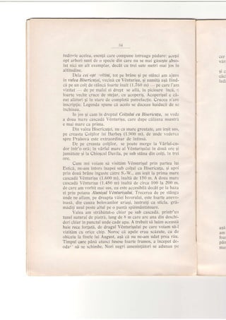t,l
tudilete acelea, esenti care compune intreaga pddure: acrgii
opt arbori sunt de o specie din care nu se mai gisegte abso-
lut nici un alt exemplar, decdt cu trei sute metri mai jos in
altitudine.
Dela cei opt .rt.tini, tot pe brdne ,9i pe stAnci am ajuns
in valea Bisericuiei, vecind cu V6nturiEu, qi numiti aSa fiind-
cA pe un coli de stdnci foarte inalt (1.760 rn) pe care I'am
vizitat de pe malul ei drept se afli, in picioare inch, t
foarte veche cruce de stejar, cu acoperiE. Acoperigul e ci-
zut al5turi gi in stare de completd putrefac{ie. Crucea n'are
inscripfie. Legenda spune cA acolo se duceau haiducii de s:
inchinau.
In jos 9i cam in dreptul Col{ului cu lJisericula, se vede
a doua mare cascadd Vdnturiqu, care dupe chliuza noastrit
e mai mare ca prirna.
Din valea tsisericu{ei, nu cu mare greutate, am iegit sus,
pe creasta Col{i'lor lui Barbeg (1.900 m), de unde vedere,t
spre Prahova este extraordinar de intinsd.
De pe creasta coljilor, se poate merge la VArful-cu-
dor intr'o ord; in vdrful mare al V6nturigului in doud ore;i
jumdtate gi la Chioqcui Davila, pe sub stana din col{i, in trei
ore.
Cum noi voiam sI visitdm Vdnrurigul prin partea lui
Estici, ne-am intors inapoi sub coltul cu Bisericutra, $i apoi
prin douh brdne inguste cdtre S.-W.. am ieqit la prima mare
cascadd V0nturigu (1.600 m), inalti de 150 m. A doua mare
cascadd V€nturisu (1.450 m) inaltl de circa 100 la 200 m,
de care am vorbit mai susr nu este accesibilii decAt pe la baza
ei prin poiana Aluniqul VAnturi;ului. Trecerea de pe stdnge
unde ne aflam, pe dreapta viiei Isvorului, este foarte anevo-
ioasd, din cauza bolovanilor uriagi, lustrui{i ca sticla, gri-
mdditi unul peste altul pe o panti spdimantitoare.
Valea am stribhtut-o chiar pe sub cascadi, printr'rin
tunel natural de piatri, lung de 8 m care are una din deschi-
deri chiar in punctul unde cade apa. A trebuit sh ludm aceasti
baie rece forJatd, de dragul V6nturigului pe care voiam sA-l
vizit[m cu orice.chip. Noroc cd apele erau scAzute, ca de
obiceiu la finele lui August, aqd cA nu ne-am udat prea riu.
Timpul care pAnl atunci fusese foarte frumos, a inceput de-
odai" s5 se schimbe. Nori negri ameninthtori se adunau pe
$lc
cacr
ladi
vari
asa
am
foar
pan
mal
 
