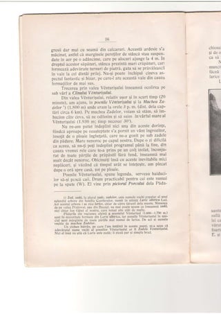 36
gresii dar mai cu seamh din calcaruri. Aceastd ardesie s'a
mdcinat, astfel ch marginele perelilor de stAnci stau suspen-
date in aer pe o adAncime, care pe alocuri ajunge {a 4 m' hl
dreptul acestor slpituri, stAnca prezinti mari criipdturi' carr
tormeazd. adevirate turnuri de piatrd, gata sd se prdvdleasc:l
in vale 1a cel dintAi prilej. Nu-9i poate inchipui cineva as-
pectul fantastic ;i bizar, pe care-l are aceasth vale din cauz:r
formatiilor de mai sus.
Trecerea prin valea VdnturiSului inseamnd ocolirea pe
sub vArf a Clinulu.i V Anturtqului.
Din valea V€nturigului. relativ ugor 5i in scurt timp (20
minute). am ajuns, in poenile V Anturiqului 9t la Mucheu 7a-
dzlor') (1.800 m) unde eram la orele 3 p. m. (dist' dela cap-
thri circa 6 km). Pe muchea Zadelor, voiam si stim, sa im-
bucdm cAte ceva, sd ne odihnim 5i si suim 'invdrful mareal
Vdnturigului (1.930 m; timp necesar 30').
Nu ne-am putut indeplini nici una din aceste dorin{e,
fiindcd aproape pe nea$teptate s'a pornit un vAnt ingrozitor,
inso{it de o ploaie inghe{atd, care ne-a gonit pe sub zadele
din pddure. Mare neno.oc pe capul nostru. Dupe o zi dificilti
ca aceea, si nu-{i poli indeplini programul pAnd la fine' din
cauza vremei rele care te'a prins pe un col{ izolat, inconju-
rat de toate plr{ile de pripdstii flri fund, inseamni mai
mult decAt nenoroc. Obicinui{i insi cu aceste inevitabile mici
nepliceri, Ei vdzdnd ci timpul urit se inteteste, am plecat
dupe o ord spre casi, tot Pe Ploaie.
Poenile V€nturigului, spune legenda, serveau haiduci-
lor sd-gi pasci caii. Drum practicabil pentru cai este numai
pe la spate (W). El vine prin piciorul Porcttlui dela Pldu-
l) Zad, 24dd,la pl|lal zatlc, zalclor, csle numele vechi popular 2l unul
splenoid a-bore din fami'i:l Cor,i'crelor. numil i1 stiinla Lorix sibir-iro Led.
Ari accstu: arbore i sc zie ldrice' chiar de calre (iran'i de'a mllnle Nimenea
;; p;-";i;; Pr;i';;.],
"iu
ain Blrcesi, nu mai poa'te spune ce 'inseamni
zodd,
nici chiaf lon tiitei al 'oslru. ca-c totus'stie dial de murlc.'. '- -
Fiouiii" din'regiunea alpini a mun[elui Vinturisul (I 600-1'750 m )
sunt in maioritate formate dill rl-arix sibirica, iar poenile Vonturisrlui in spe-
cial sunt mersinite de toate pertile mai numai de larice. ;De aci $i numeLe
vechiu de muchea Zadelor.
Un cioban bitrin, pe carc l arn lintalnit in aceste poeni, ni-a spus ca
adevdriiul nume vechi it poenilor V6niurisul'ri ar li Zadele Vinturisltlui'
Nici el inse n! stii ci Larix este zadi; ii zicei pur si sirnplu brad
chiosu
$ideo
ca sa

muncll
fdceir
lar ice
L
ioar:
l-. S-
 
