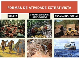 FORMAS DE ATIVIDADE EXTRATIVISTA 
COLETA 
ESCALA INDUSTRIAL 
ATIVIDADE ECONÔMICA COMPLEMENTAR  