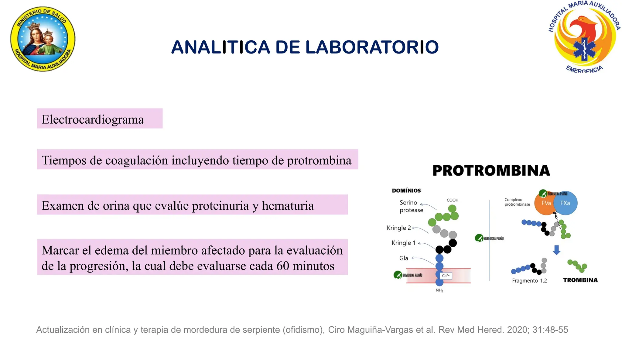 Actualización en clínica y terapia de mordedura de serpiente (ofidismo), Ciro Maguiña-Vargas et al. Rev Med Hered. 2020; 31:48-55
ANALITICA DE LABORATORIO
Electrocardiograma
Tiempos de coagulación incluyendo tiempo de protrombina
Examen de orina que evalúe proteinuria y hematuria
Marcar el edema del miembro afectado para la evaluación
de la progresión, la cual debe evaluarse cada 60 minutos
 
