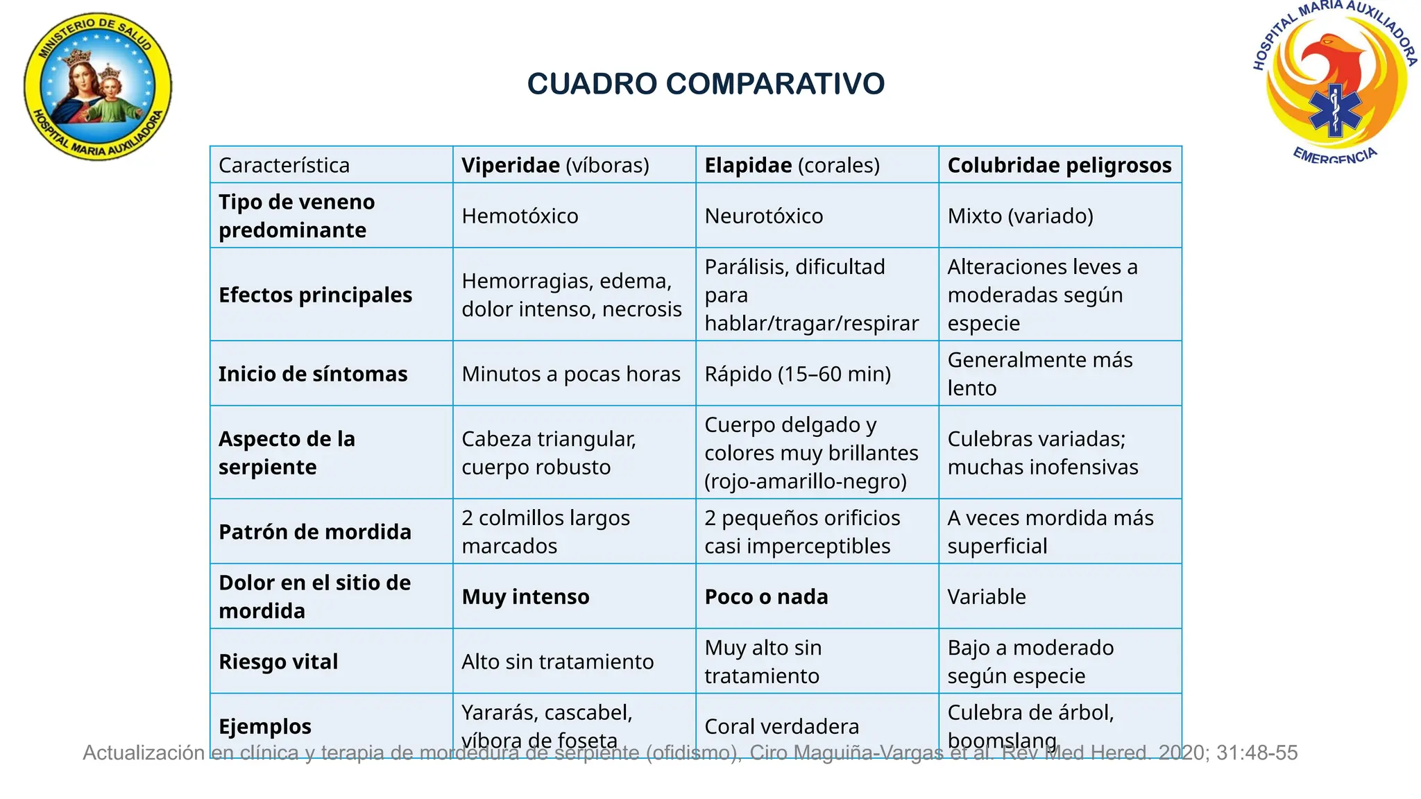 Característica Viperidae (víboras) Elapidae (corales) Colubridae peligrosos
Tipo de veneno
predominante
Hemotóxico Neurotóxico Mixto (variado)
Efectos principales
Hemorragias, edema,
dolor intenso, necrosis
Parálisis, dificultad
para
hablar/tragar/respirar
Alteraciones leves a
moderadas según
especie
Inicio de síntomas Minutos a pocas horas Rápido (15–60 min)
Generalmente más
lento
Aspecto de la
serpiente
Cabeza triangular,
cuerpo robusto
Cuerpo delgado y
colores muy brillantes
(rojo-amarillo-negro)
Culebras variadas;
muchas inofensivas
Patrón de mordida
2 colmillos largos
marcados
2 pequeños orificios
casi imperceptibles
A veces mordida más
superficial
Dolor en el sitio de
mordida
Muy intenso Poco o nada Variable
Riesgo vital Alto sin tratamiento
Muy alto sin
tratamiento
Bajo a moderado
según especie
Ejemplos
Yararás, cascabel,
víbora de foseta
Coral verdadera
Culebra de árbol,
boomslang
Actualización en clínica y terapia de mordedura de serpiente (ofidismo), Ciro Maguiña-Vargas et al. Rev Med Hered. 2020; 31:48-55
CUADRO COMPARATIVO
 