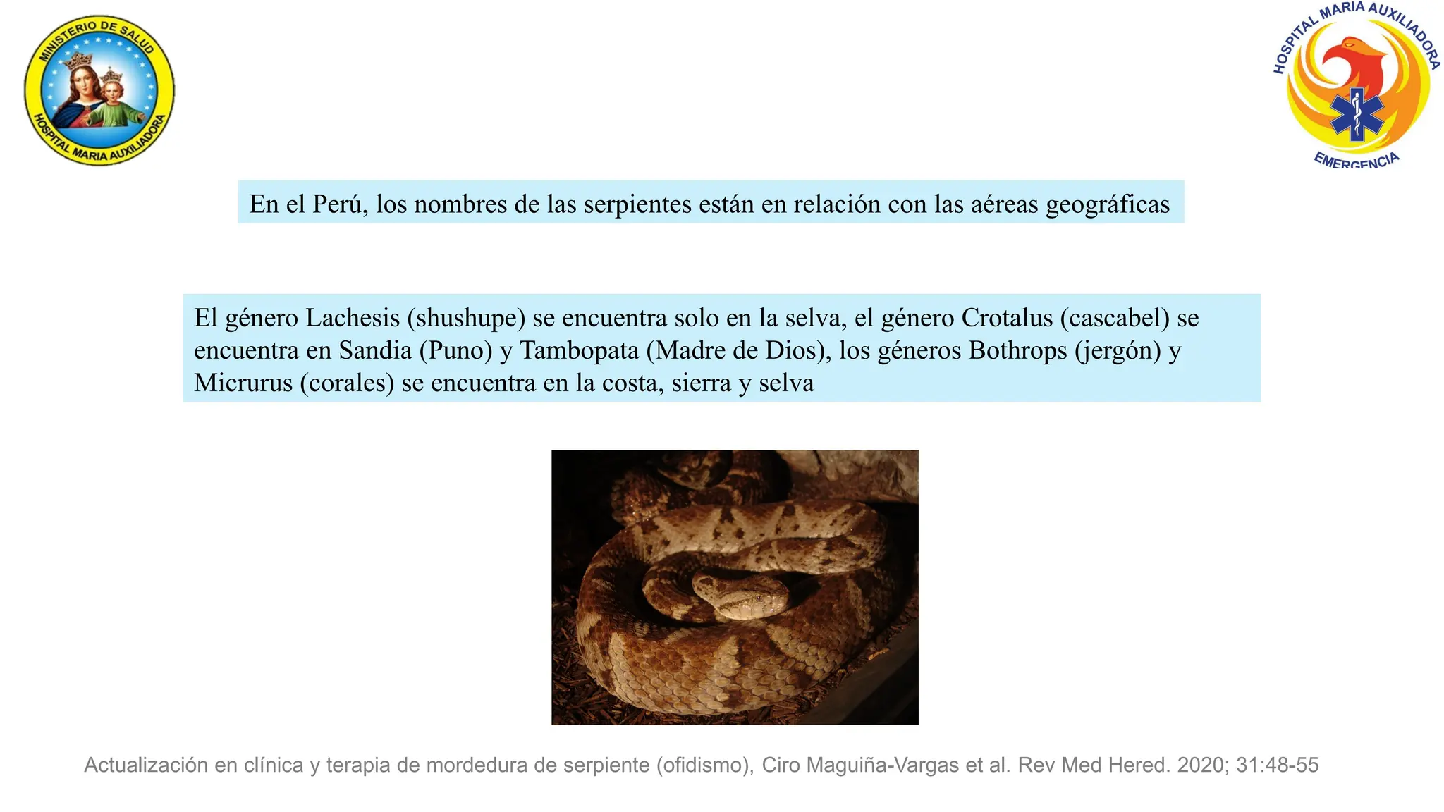 En el Perú, los nombres de las serpientes están en relación con las aéreas geográficas
El género Lachesis (shushupe) se encuentra solo en la selva, el género Crotalus (cascabel) se
encuentra en Sandia (Puno) y Tambopata (Madre de Dios), los géneros Bothrops (jergón) y
Micrurus (corales) se encuentra en la costa, sierra y selva
Actualización en clínica y terapia de mordedura de serpiente (ofidismo), Ciro Maguiña-Vargas et al. Rev Med Hered. 2020; 31:48-55
 