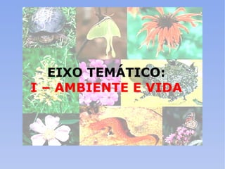EIXO TEMÁTICO:  I – AMBIENTE E VIDA   
