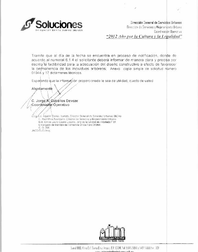 Oficio de tala de árboles
